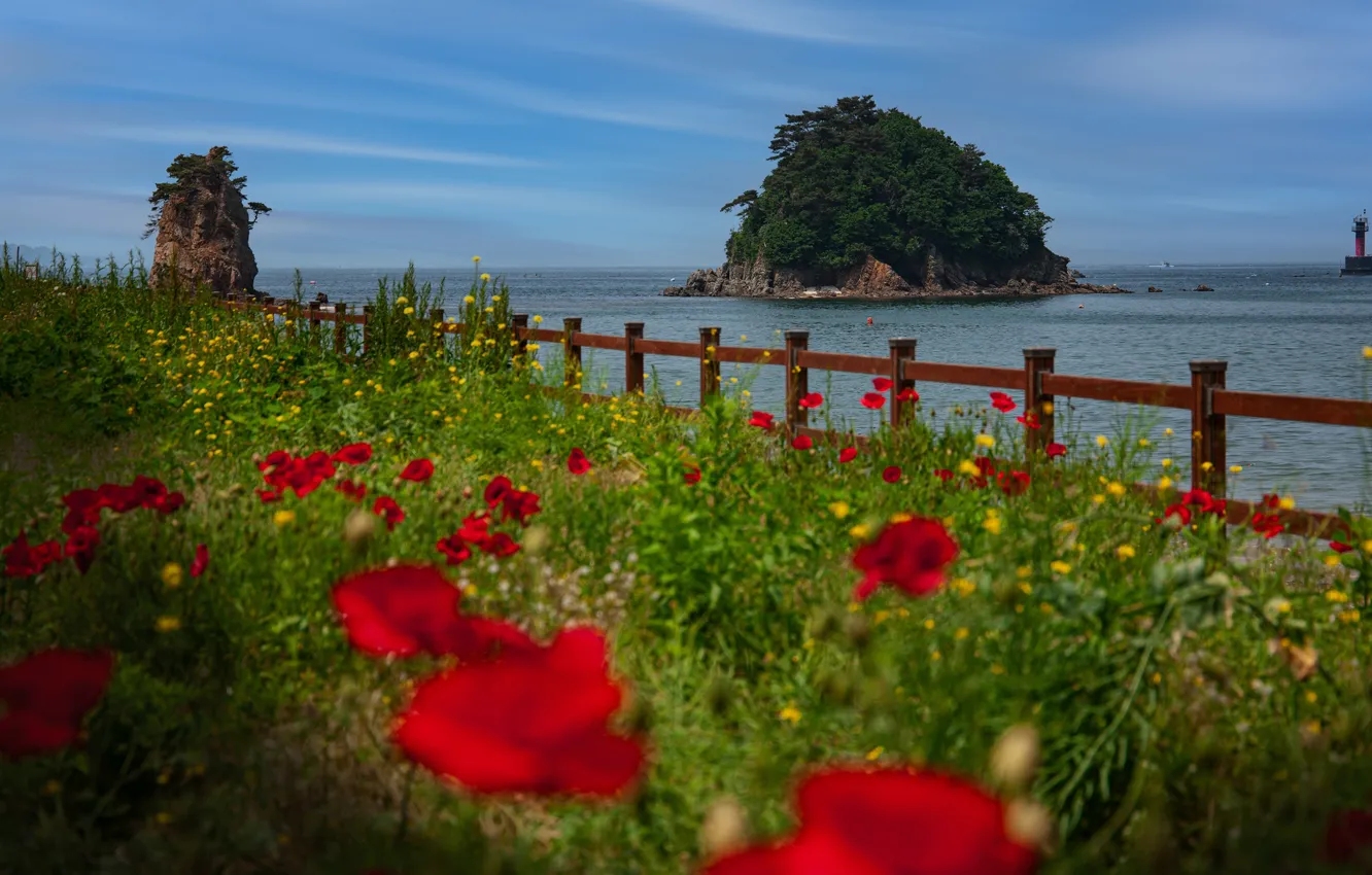 Photo wallpaper sea, summer, flowers, rocks, shore, glade, the fence, lighthouse