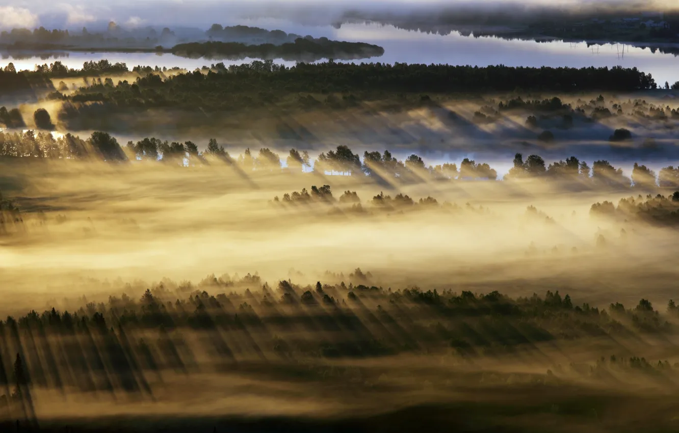 Photo wallpaper field, light, fog, morning