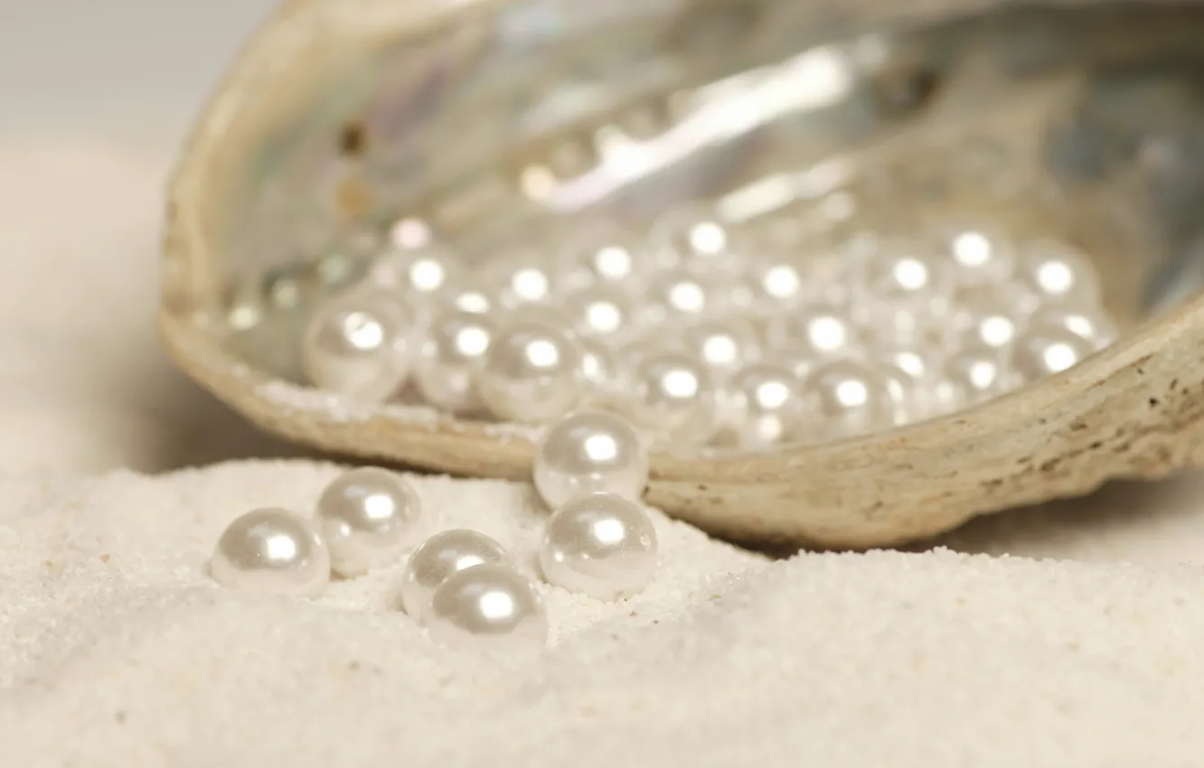 Photo wallpaper decoration, pearl, pearl