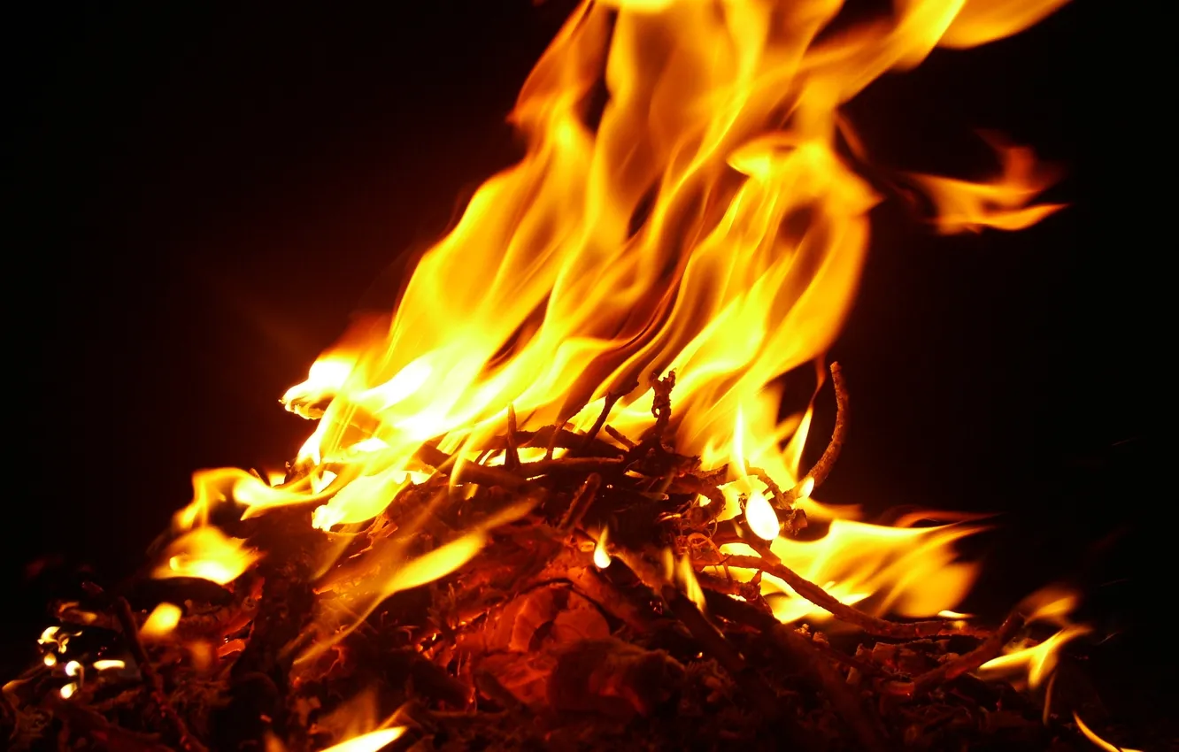 Photo wallpaper macro, darkness, fire, flame, fire, the fire