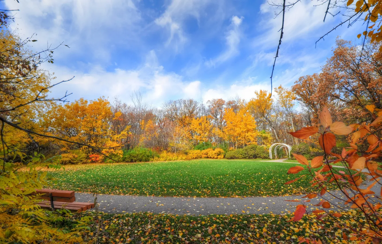 Photo wallpaper autumn, the sky, grass, leaves, trees, Park, lawn, bench