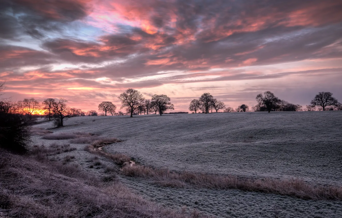 Photo wallpaper HDR, trees, field, sunrise, cheshire, silhouette, frost, Bunbury