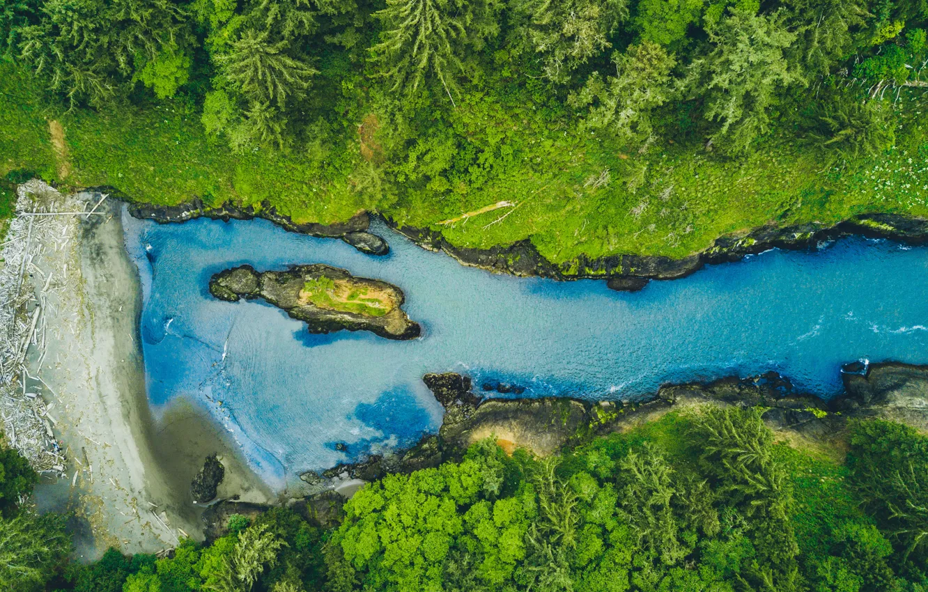 Photo wallpaper green, forest, river, blue, water, stones