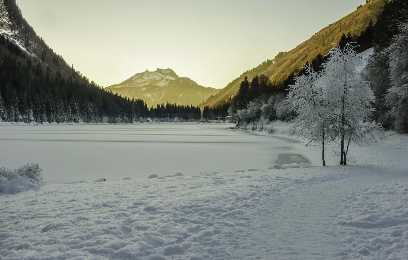 Photo wallpaper ice, winter, frost, forest, snow, mountains, lake