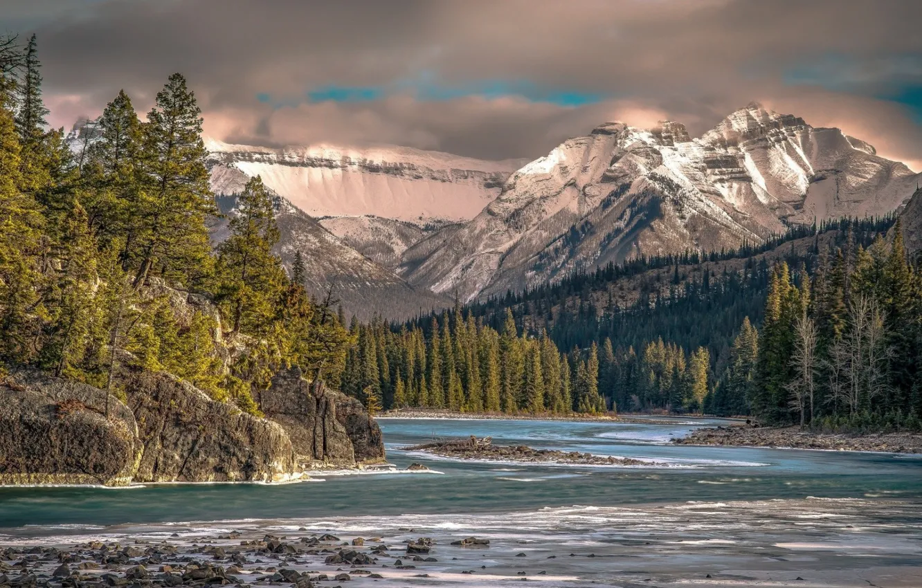 Photo wallpaper forest, water, mountains