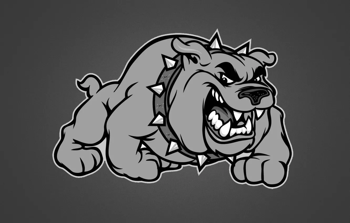 Photo wallpaper figure, dog, spikes, fangs, evil, collar, grey background