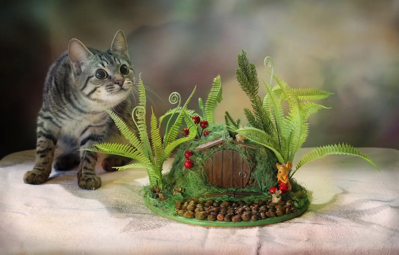 Photo wallpaper cat, pose, table, animal, Kovaleva Svetlana, Svetlana Kovaleva, topiary