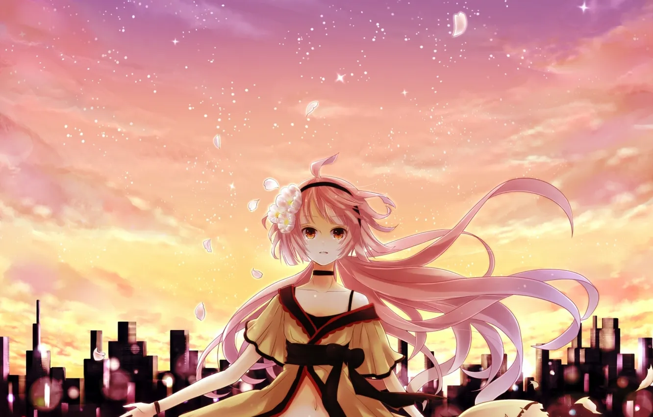 Photo wallpaper look, the wind, falling cherry blossoms, the girl standing behind the city