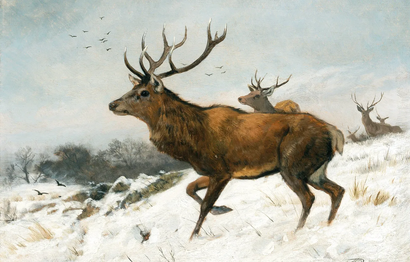 Photo wallpaper winter, snow, horns, Carl Friedrich Deiker, Karl Friedrich Daker, German animal painter, deer, Picture