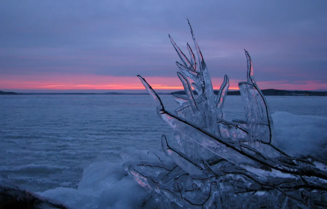 Photo wallpaper ice, winter, water, branches