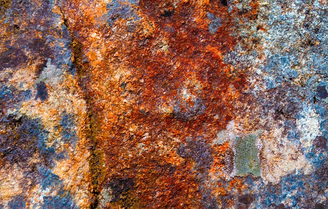 Photo wallpaper background, texture, rust