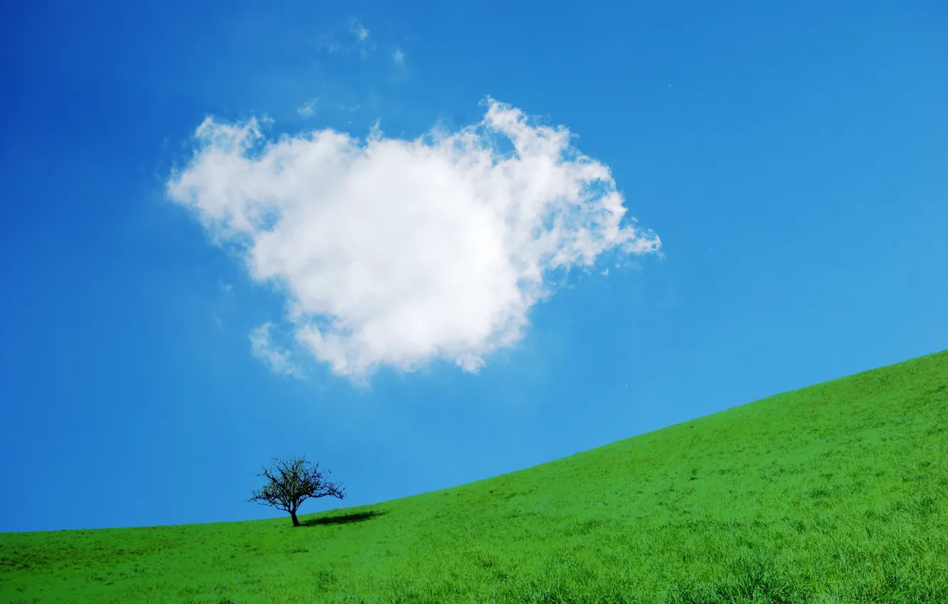 Photo wallpaper the sky, grass, trees, slope