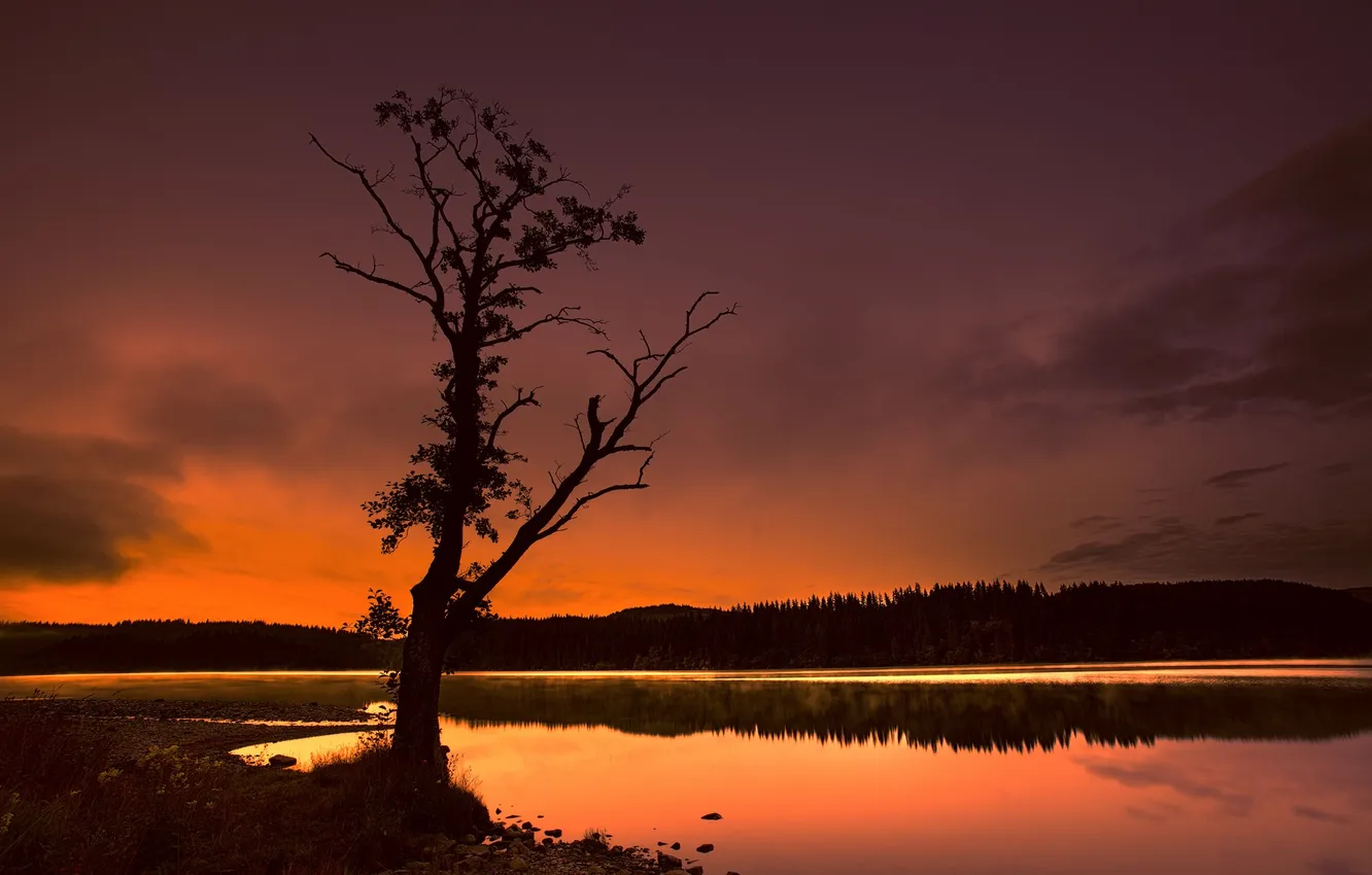 Photo wallpaper forest, the sky, clouds, trees, lake, reflection, glow