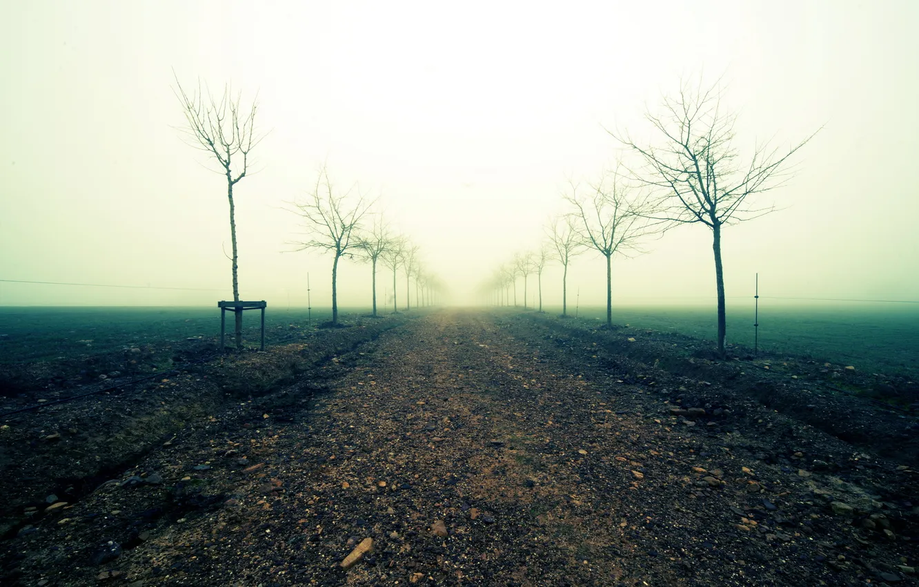 Photo wallpaper road, field, landscape