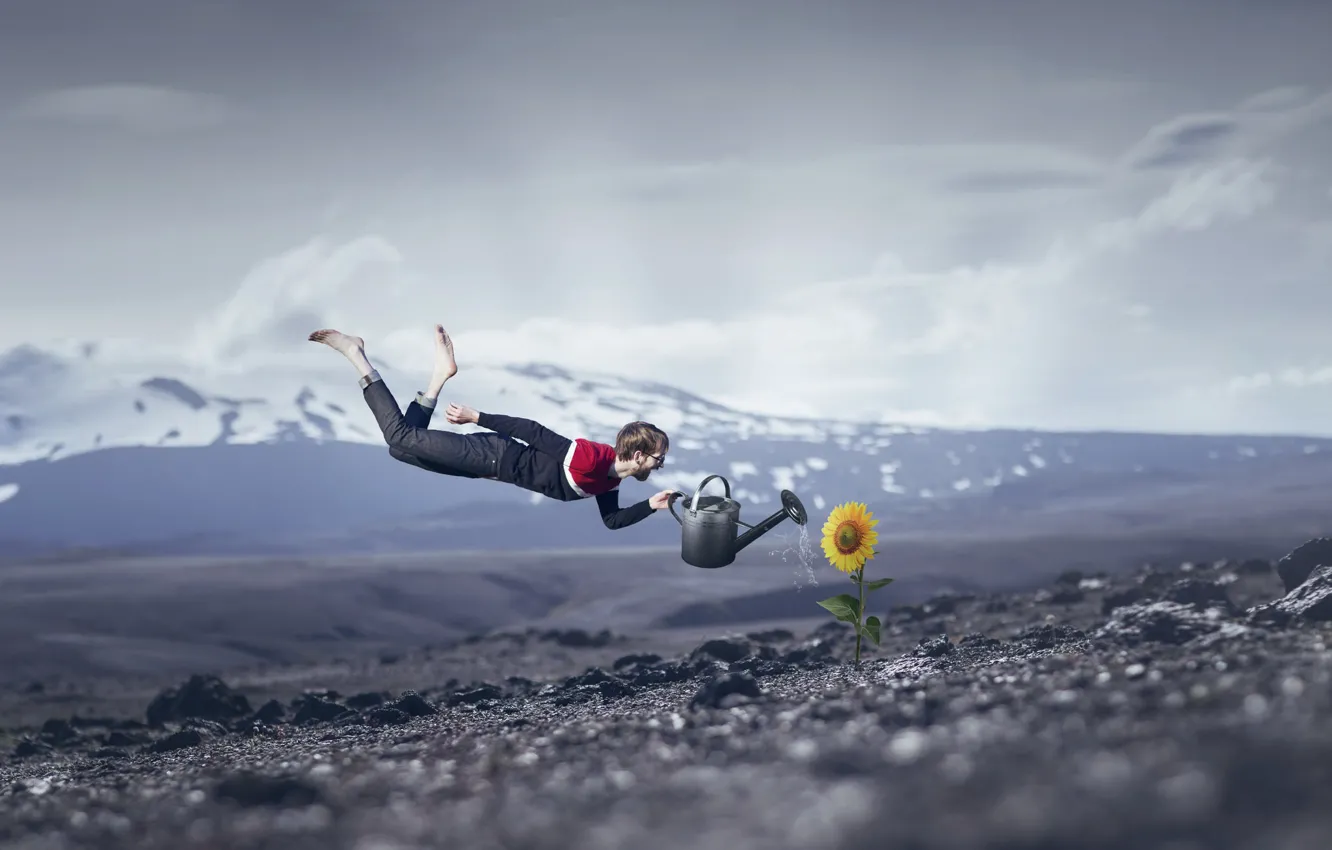 Photo wallpaper sunflowers, earth, people