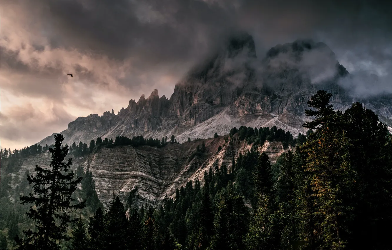 Photo wallpaper clouds, rocks, space, pine, clouds, rocks, the beauty of nature, pines