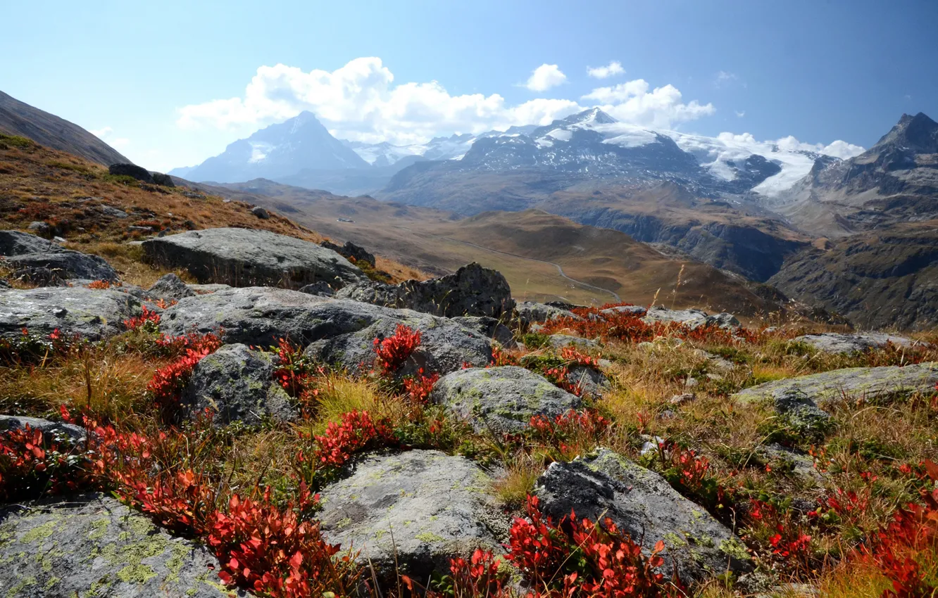 Photo wallpaper grass, mountains, stones, France, slope, Alps, gorge, Saint-Pierre