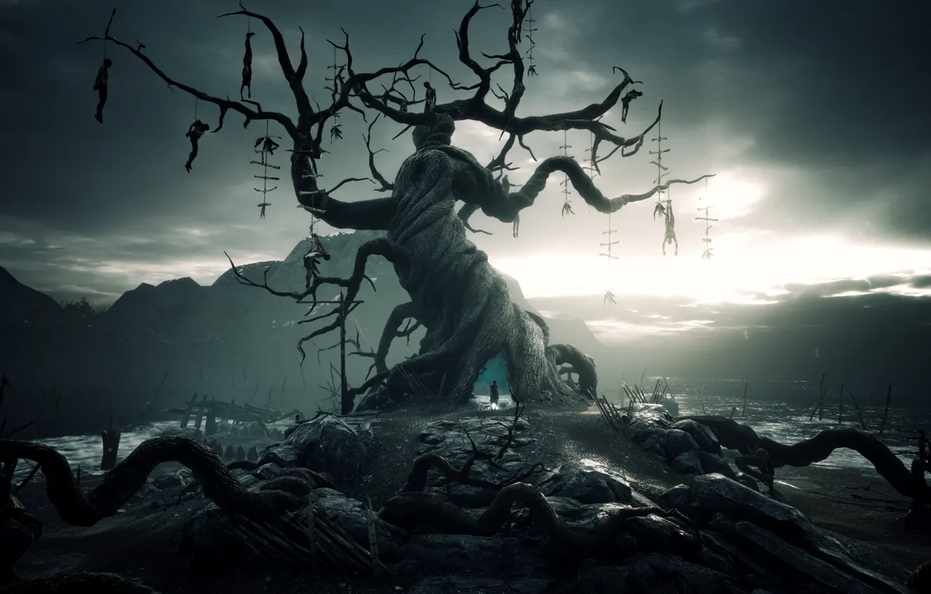 Photo wallpaper action, slasher, Action-adventure, Hellblade: Senua's Sacrifice