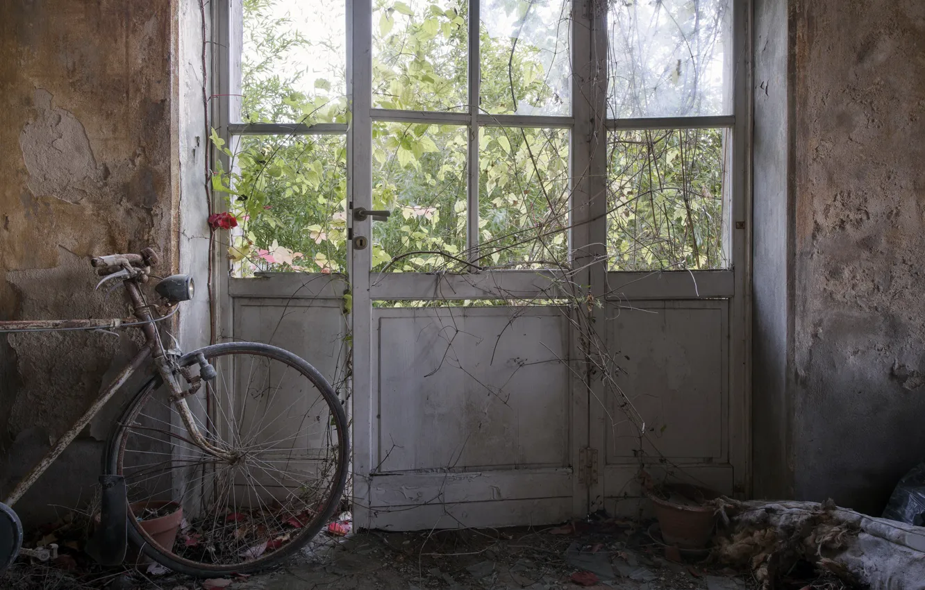 Photo wallpaper bike, room, the door