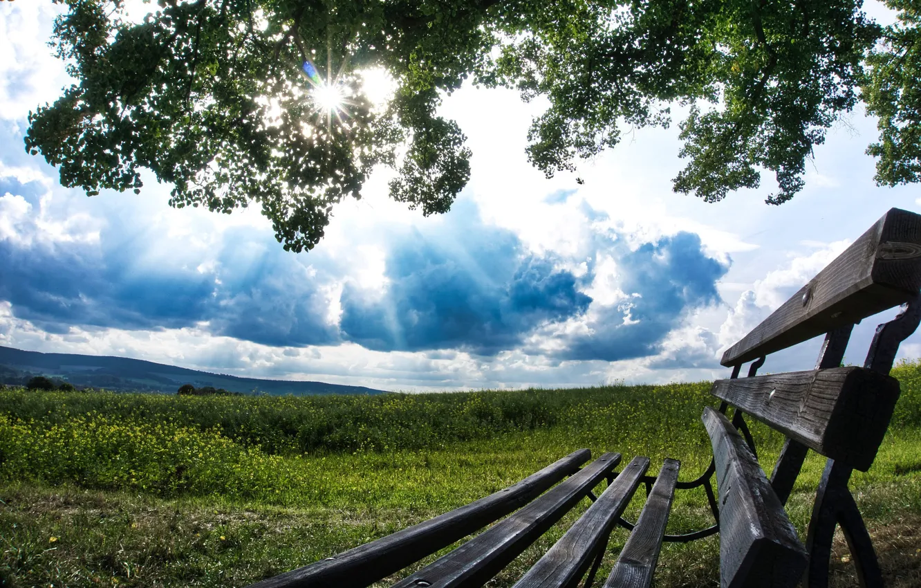 Photo wallpaper greens, field, summer, grass, the sun, clouds, rays, light