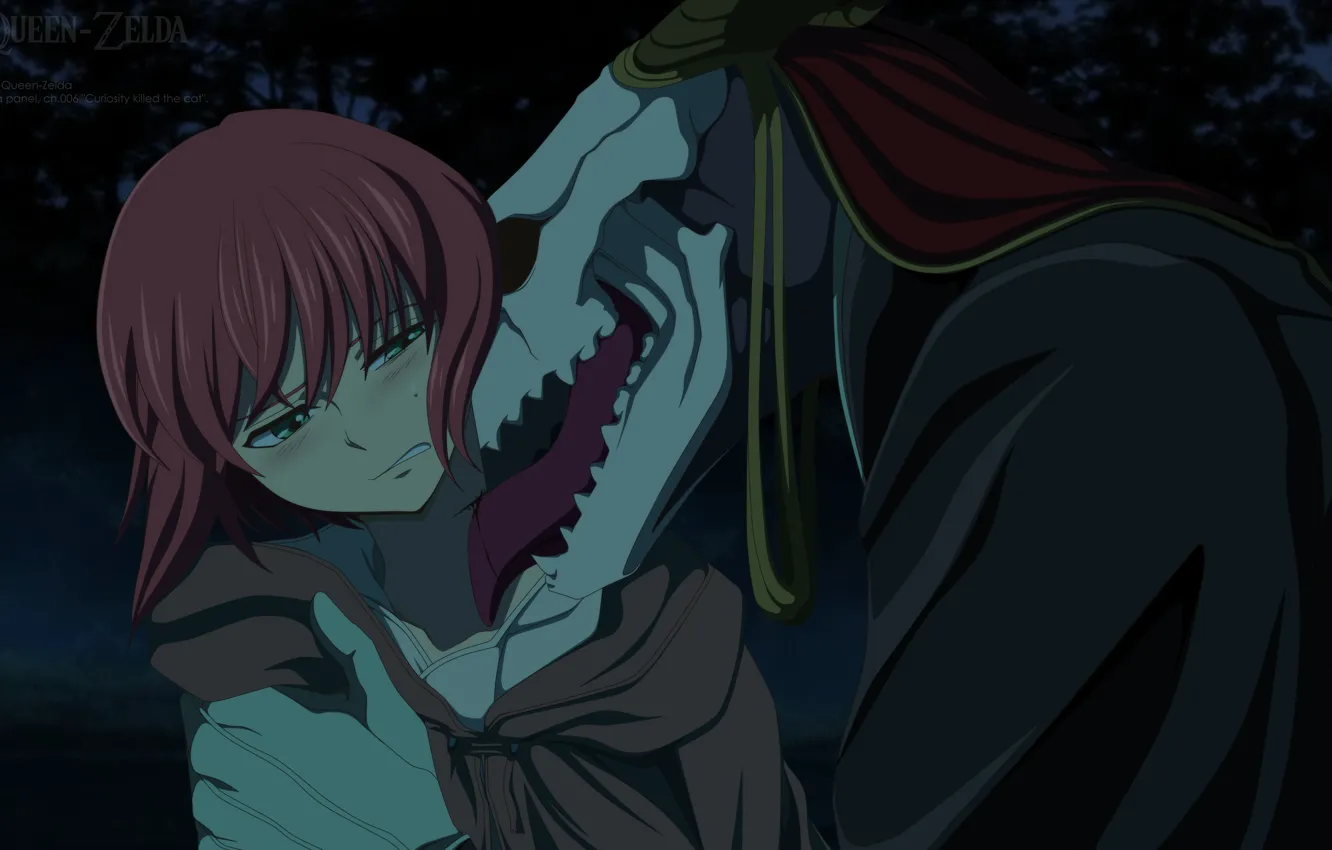 Photo wallpaper skull, anime, two, Mahou Tsukai no Yome, The Ancient Magus' Bride, Elias Ainsworth, Hatori Chise