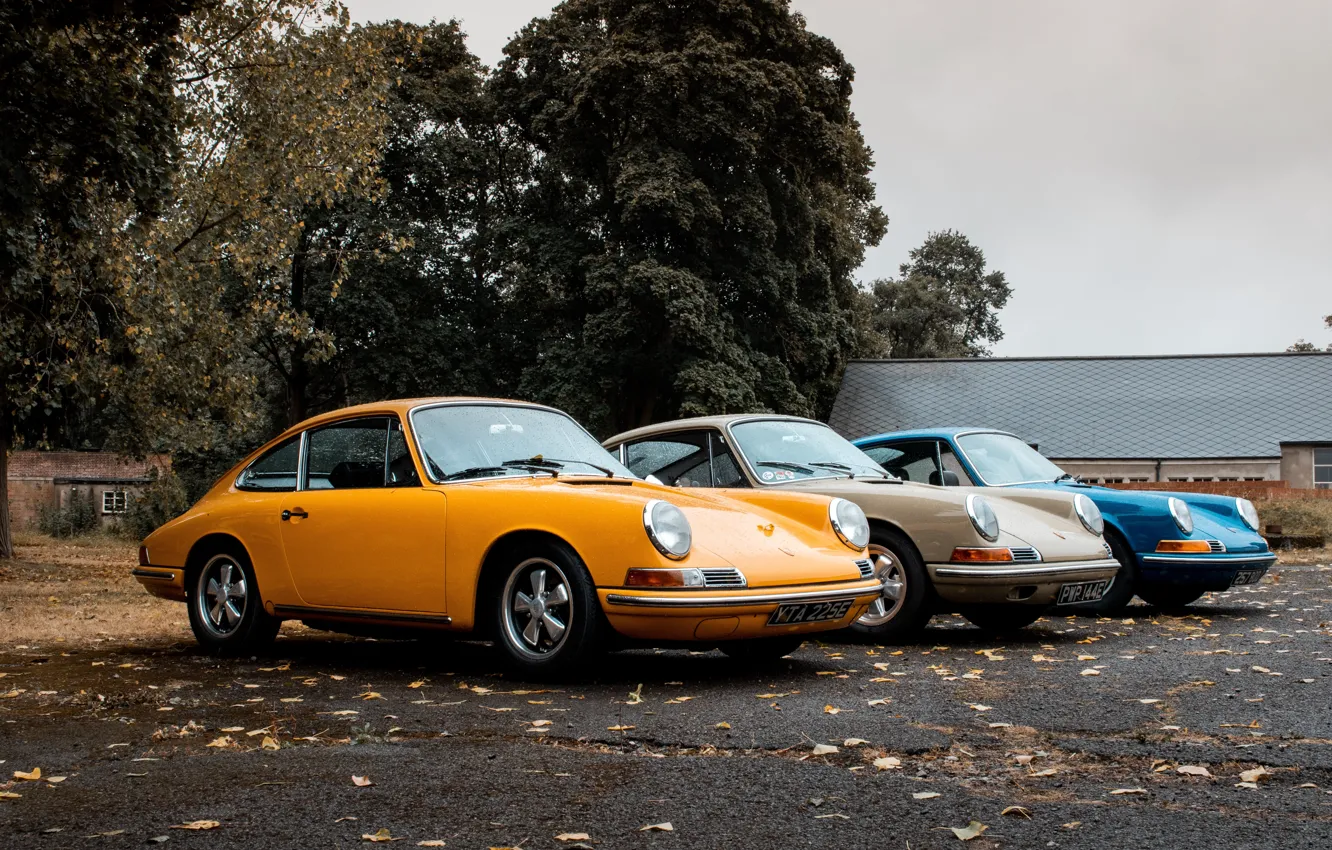 Photo wallpaper autumn, leaves, trees, Porsche, 1969, Porsche 911, Carrera