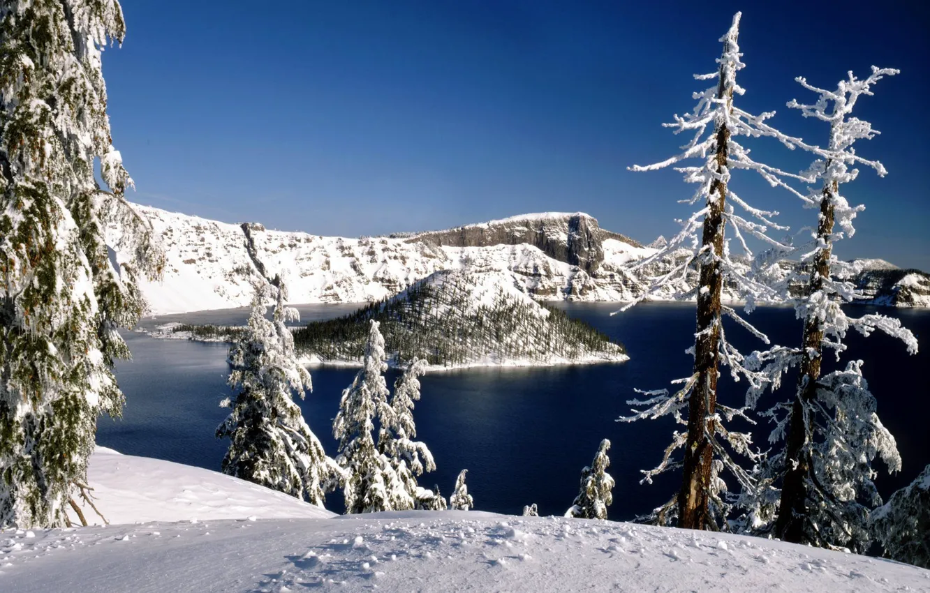 Photo wallpaper winter, forest, snow, trees, nature, lake, island