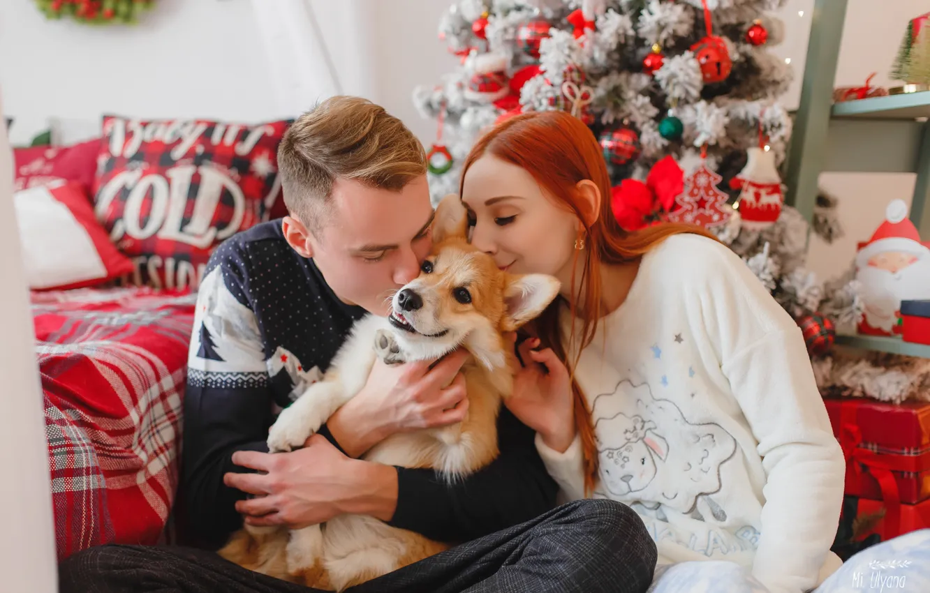 Photo wallpaper girl, mood, tree, dog, red, guy, redhead, Welsh Corgi