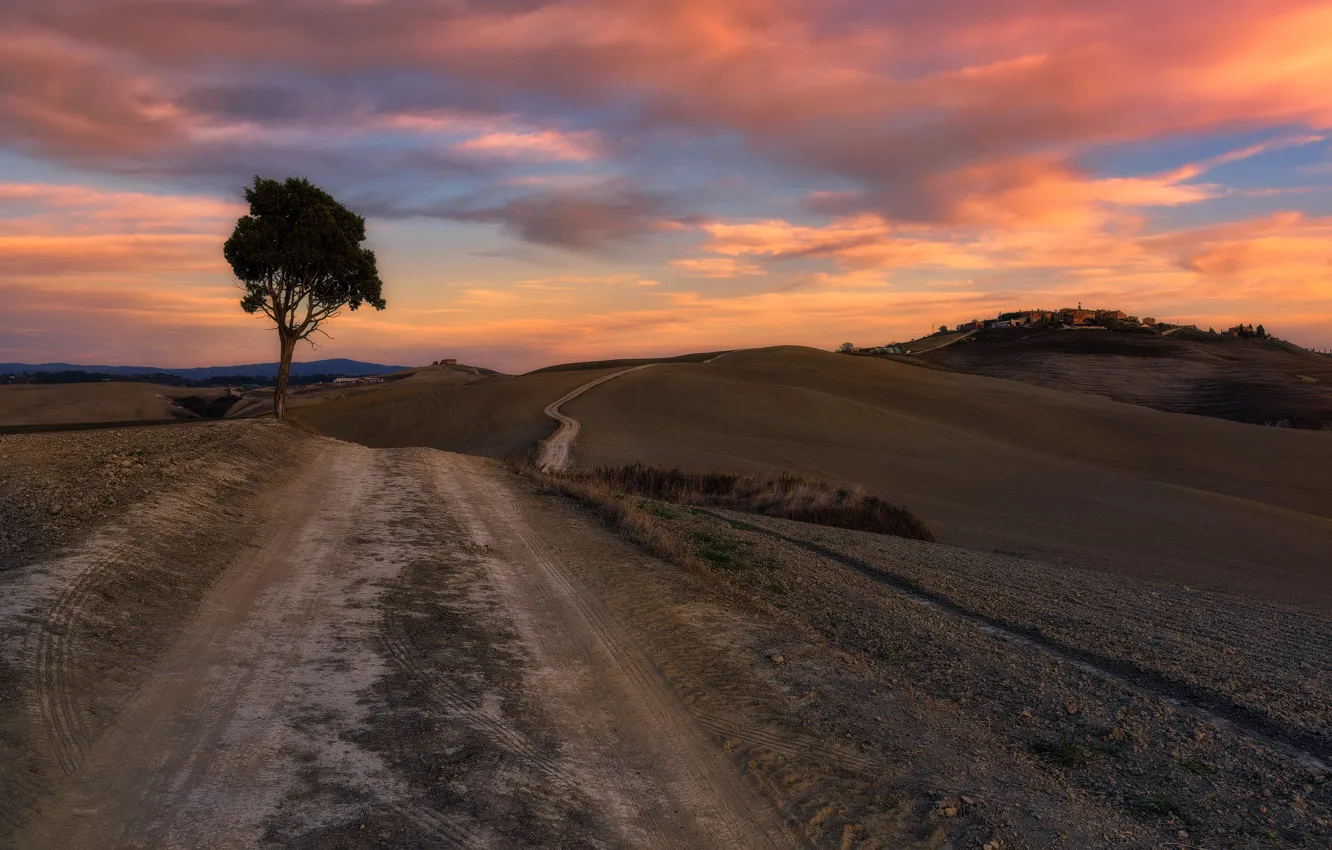 Photo wallpaper road, sunset, tree