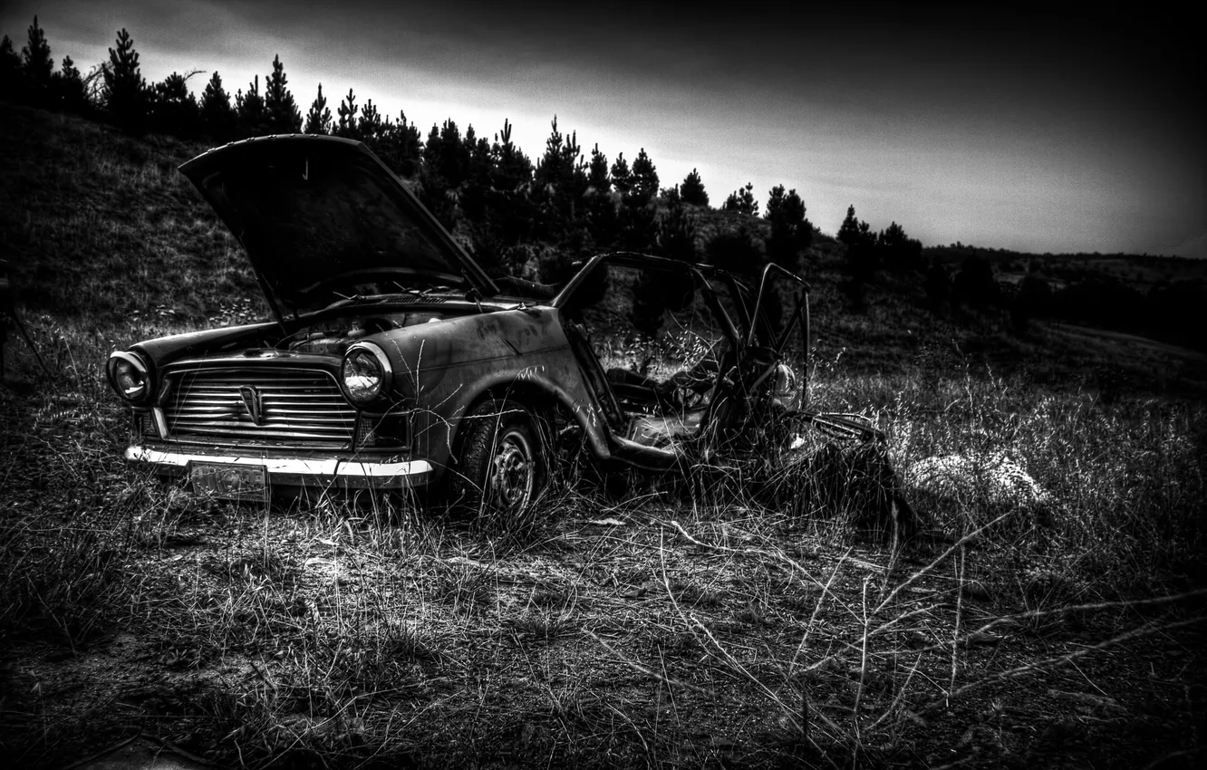 Photo wallpaper grass, trees, Mini, Cooper, b/W, the skeleton, battered