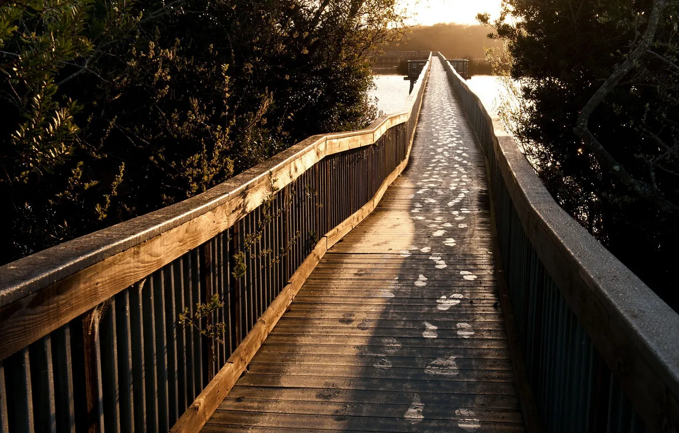 Photo wallpaper landscape, bridge, lake, morning