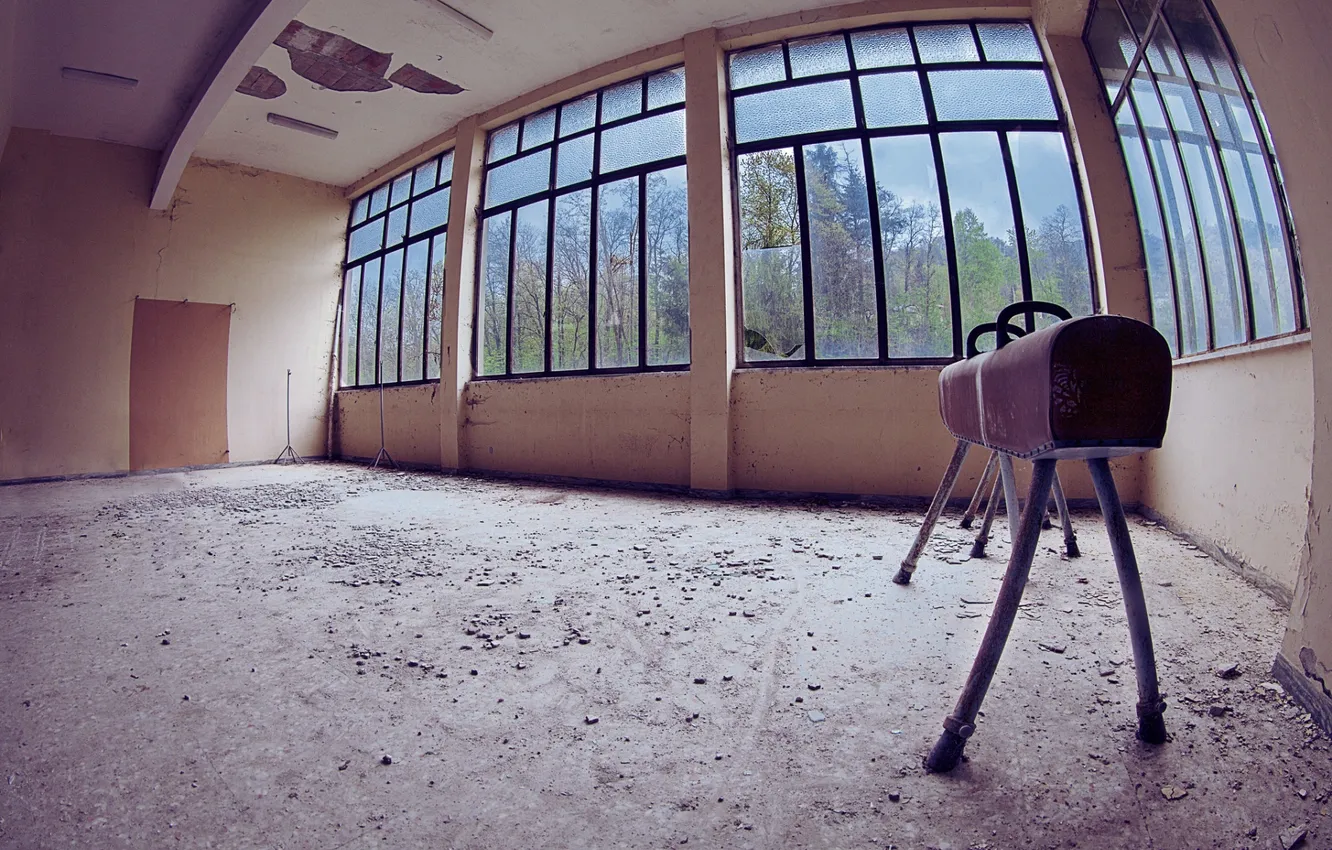 Photo wallpaper horse, sport, gymnastics, hall