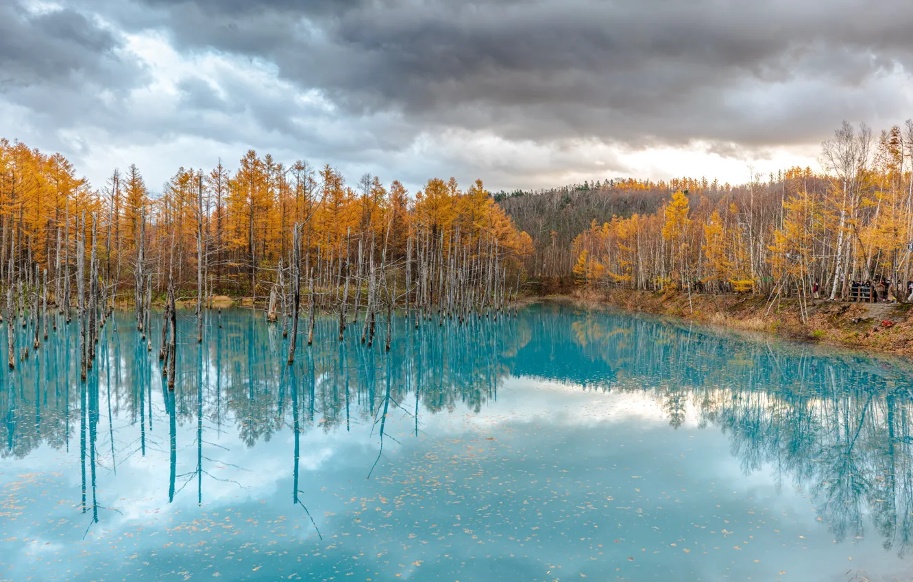 Photo wallpaper clouds, trees, pond, Japan, Hokkaido, Japan, Hokkaido, Blue Pond