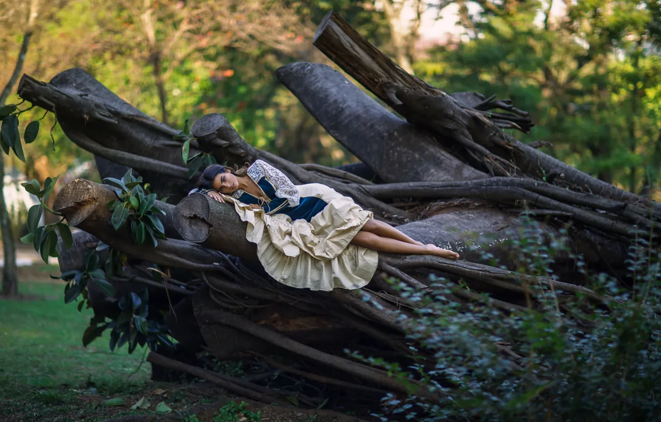 Photo wallpaper girl, trees, stay, dress, Ludovica
