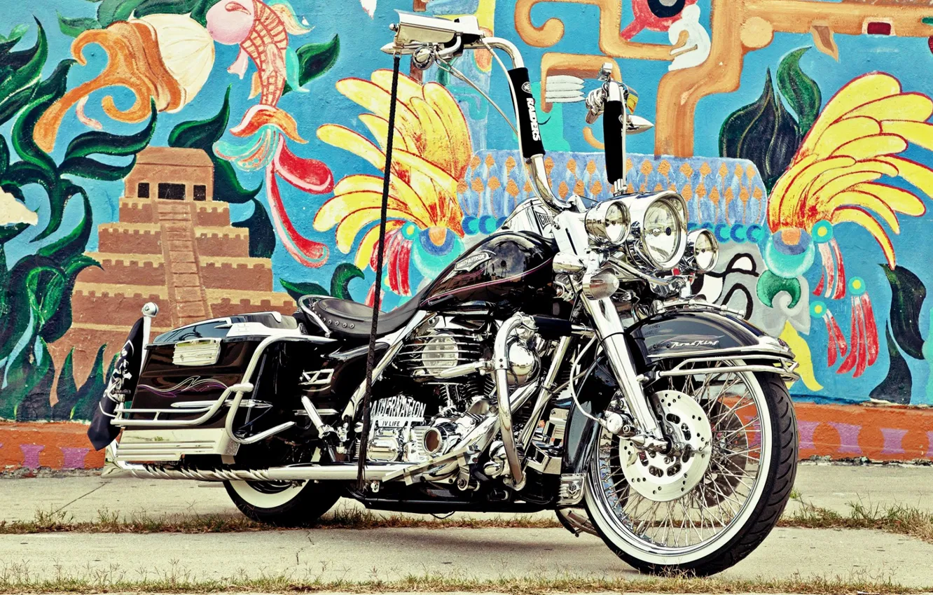 Photo wallpaper Harley-Davidson, Motorcycle, Bagger
