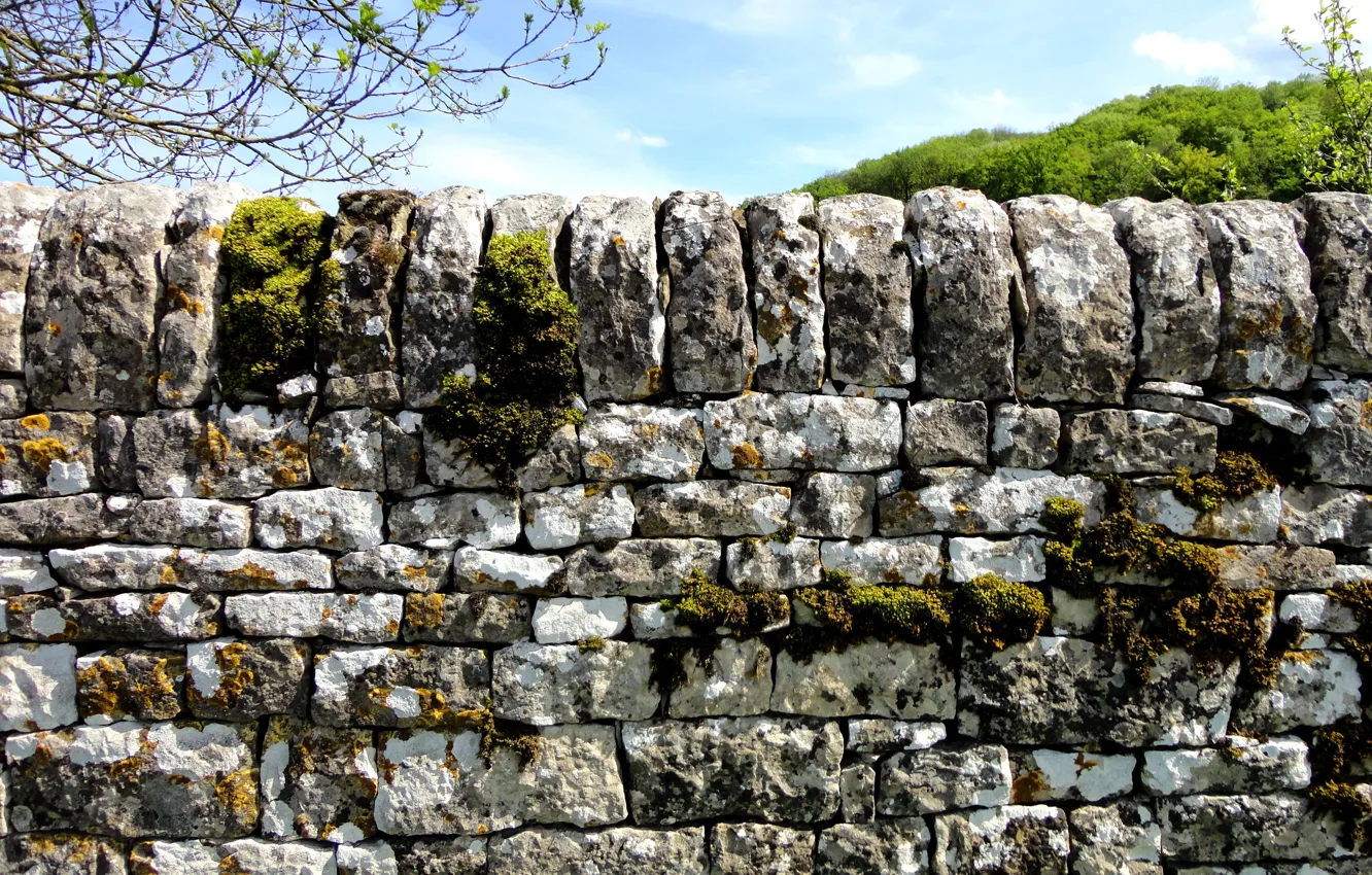 Photo wallpaper nature, stones, moss, Stone fence