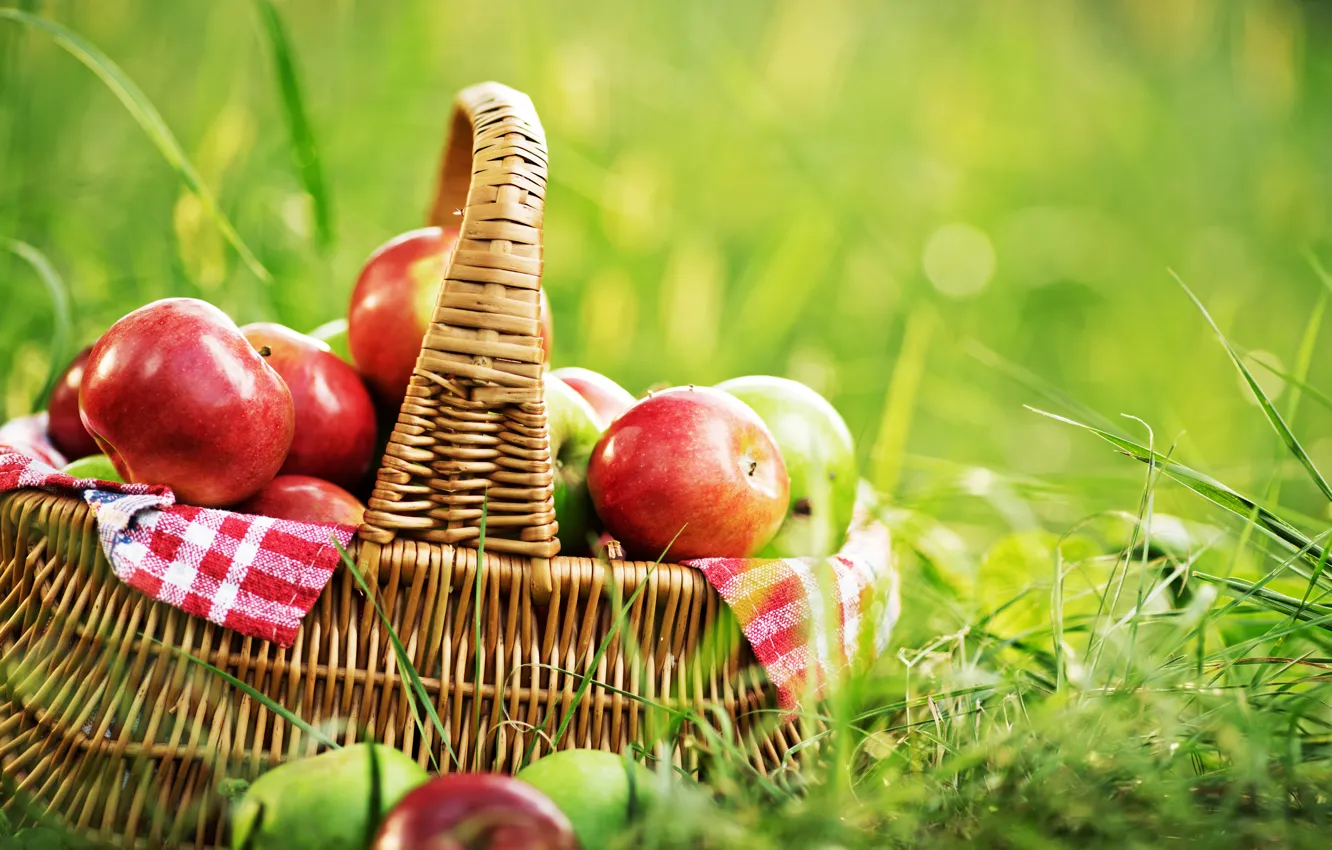 Photo wallpaper greens, summer, grass, basket, glade, apples, fruit, bokeh