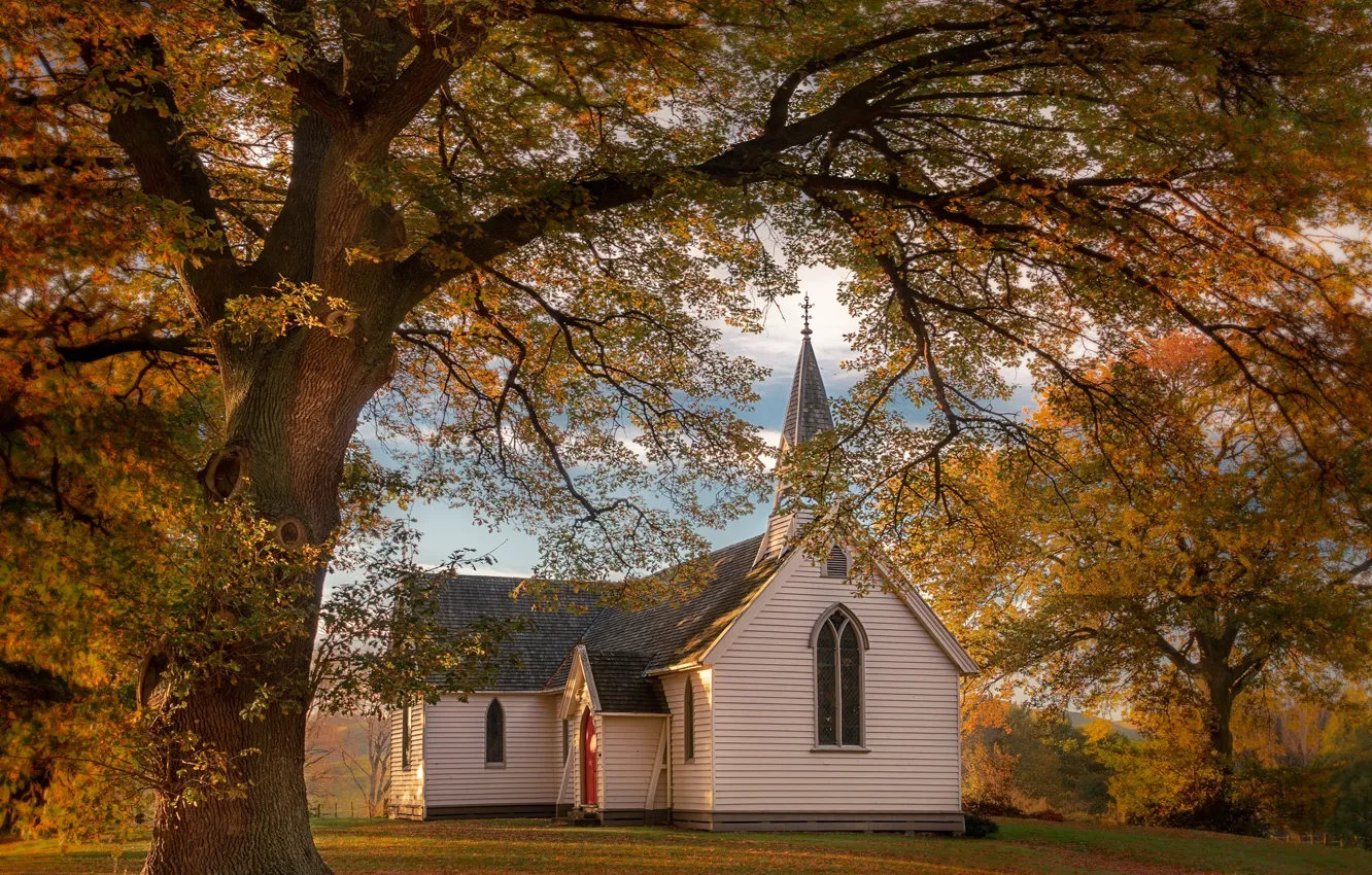 Photo wallpaper autumn, trees, foliage, Church