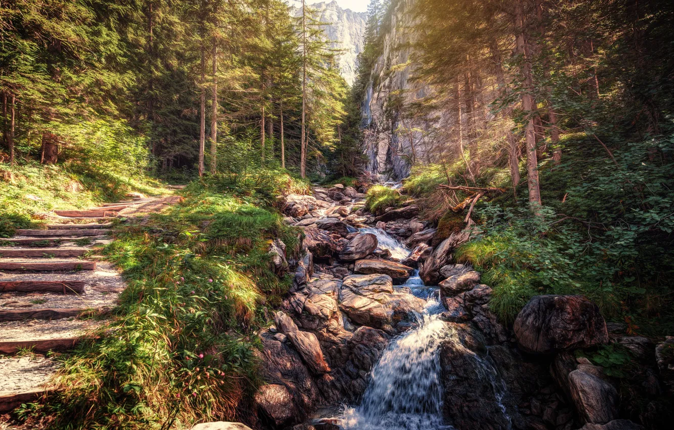 Photo wallpaper forest, mountains, stream, stones, Switzerland, stage, Switzerland, Shadow half