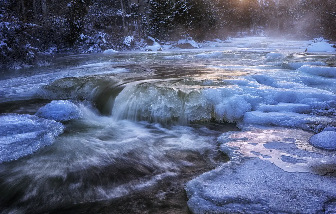 Photo wallpaper cold, ice, winter, forest, water, snow, river, stream