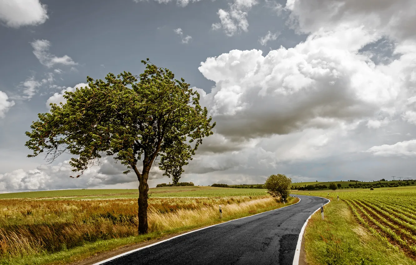 Photo wallpaper road, field, the sky, grass, clouds, trees, landscape, nature