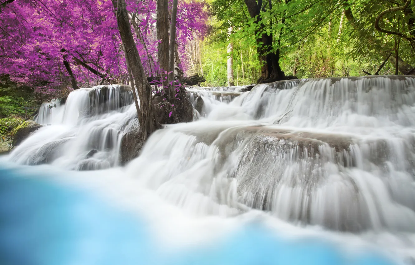 Photo wallpaper water, tree, waterfall, play of colors, colored trees