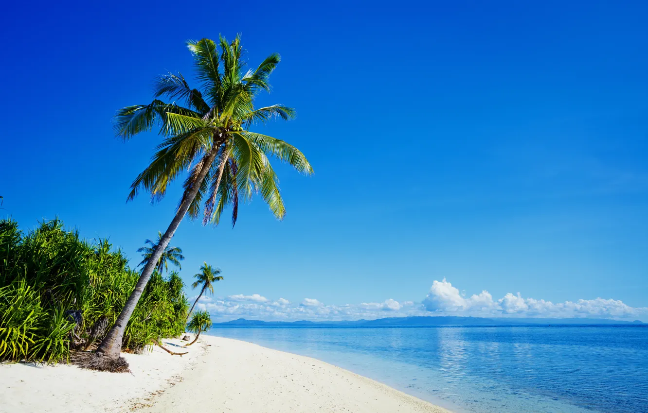 Photo wallpaper sea, beach, nature, tropics, palm trees, coast, Philippines