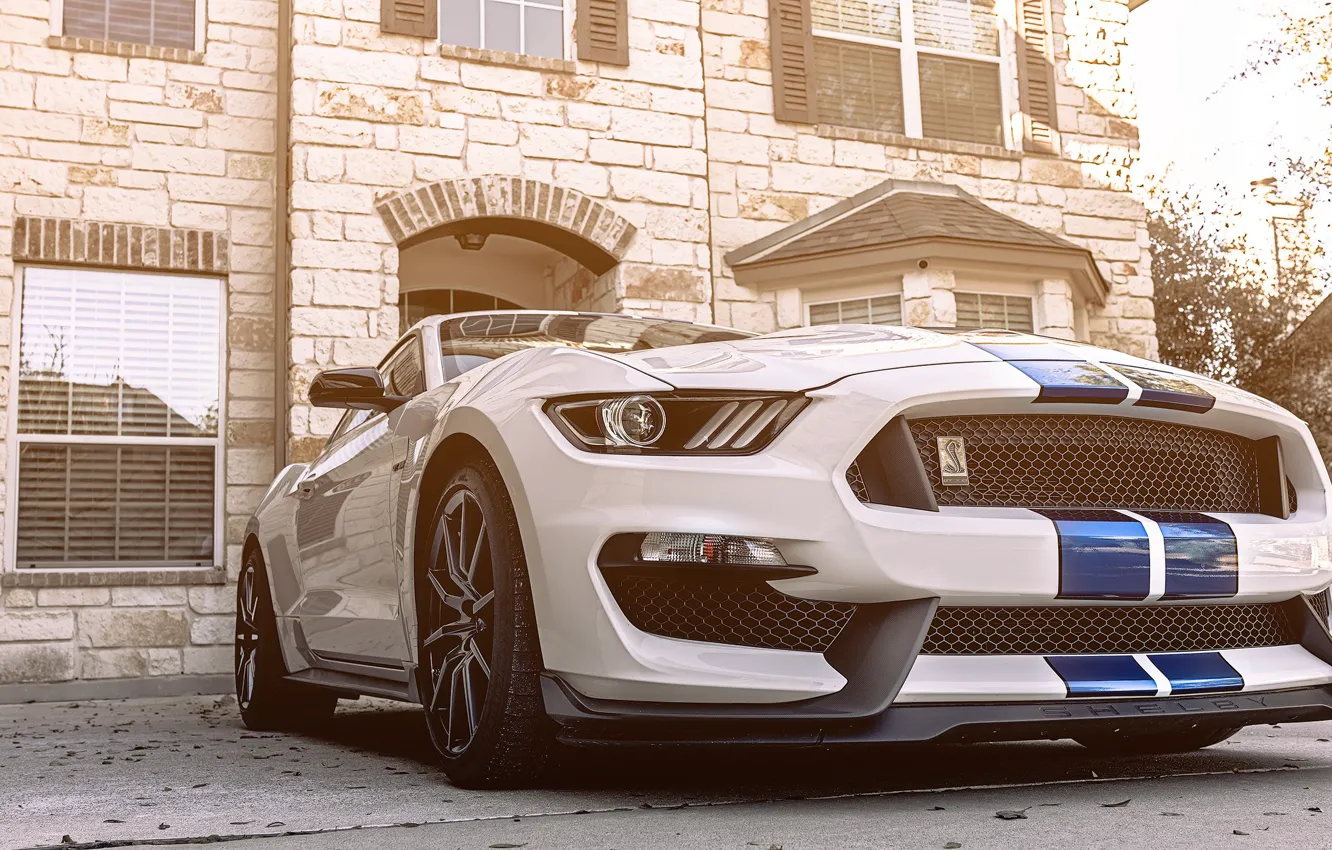 Photo wallpaper Mustang, Ford, Shelby, White, American, GT350