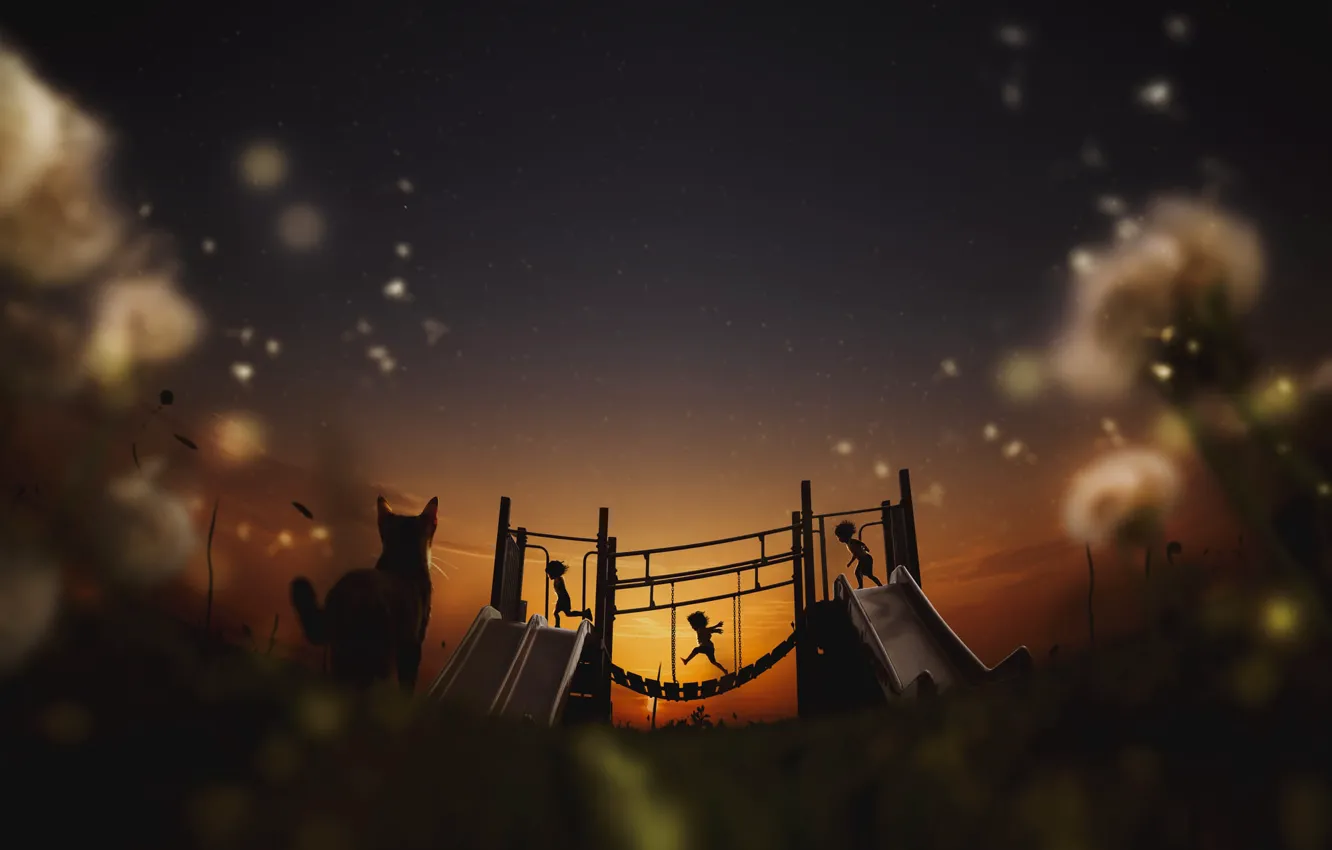 Photo wallpaper cat, the sky, look, sunset, children, rendering, the game, the evening