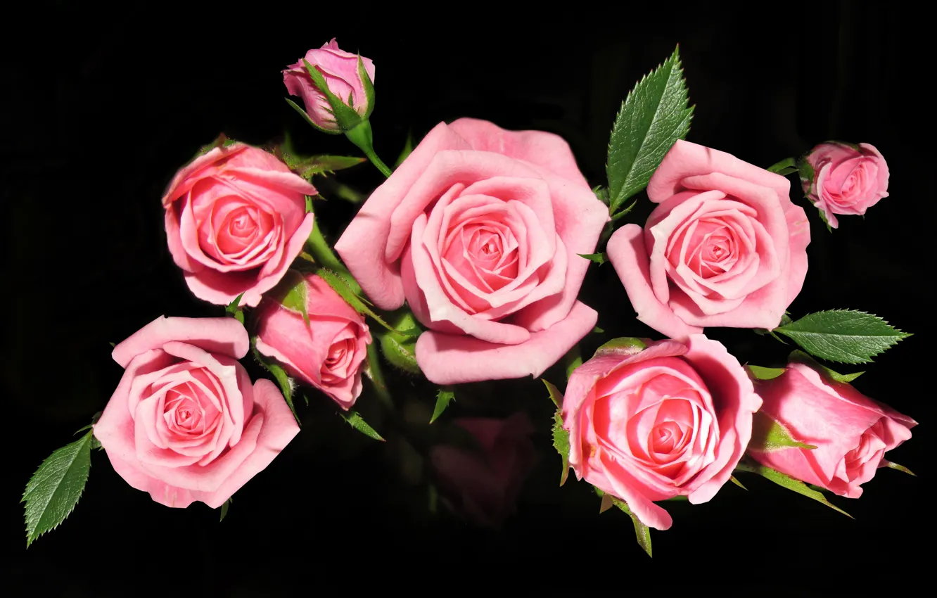 Photo wallpaper flowers, roses, bouquet, pink, roses