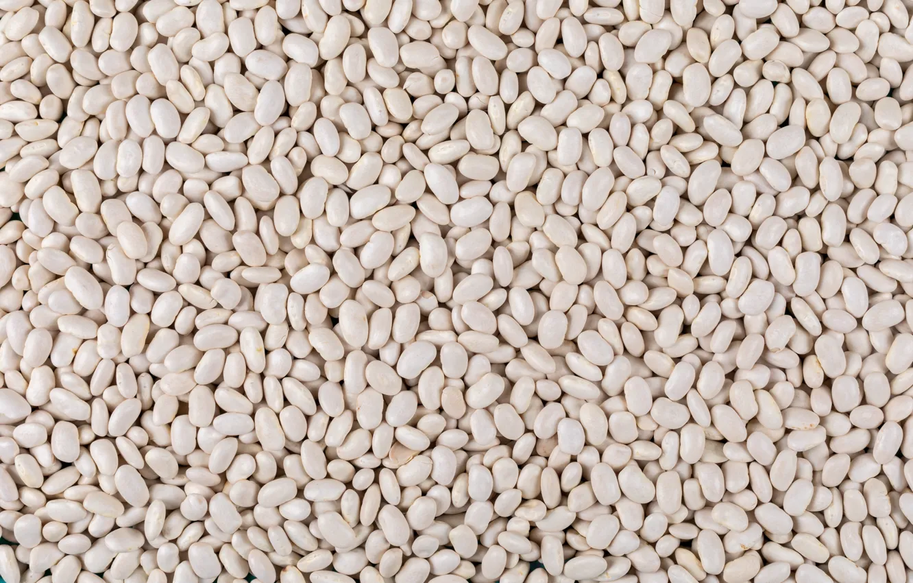 Photo wallpaper texture, food, white beans