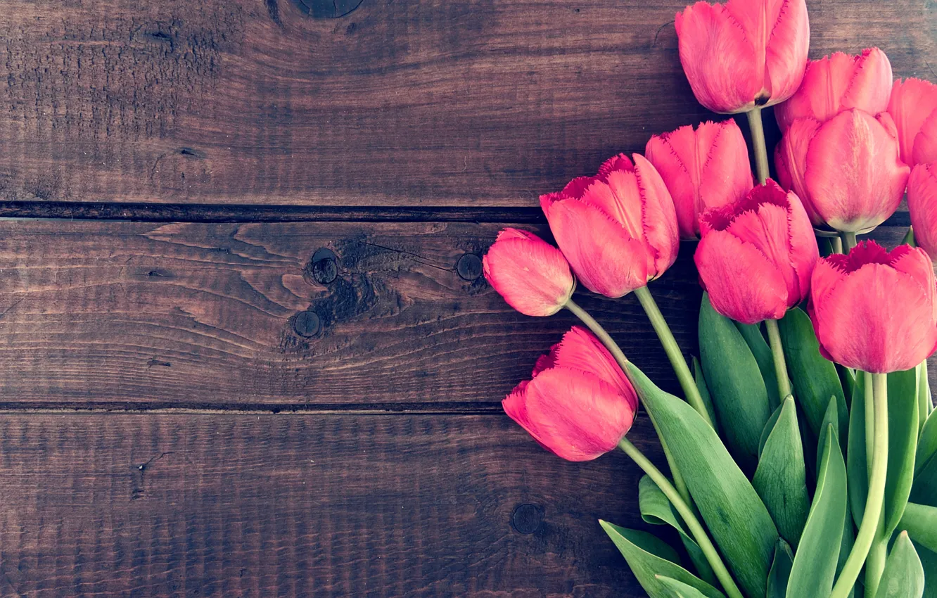 Photo wallpaper flowers, bouquet, tulips, wood, pink, romantic, tulips, spring