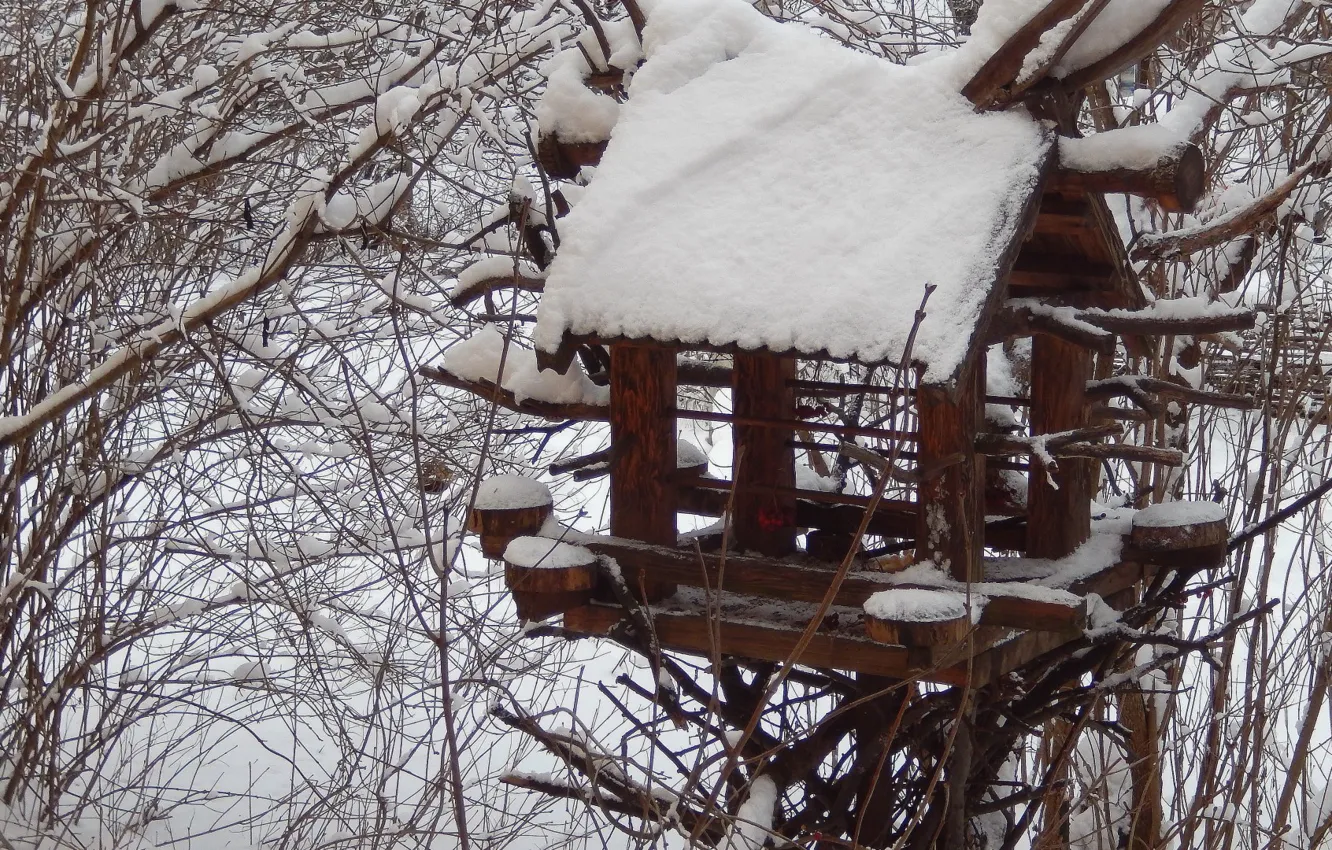 Photo wallpaper winter, snow, background, widescreen, Wallpaper, wallpaper, the bushes, widescreen