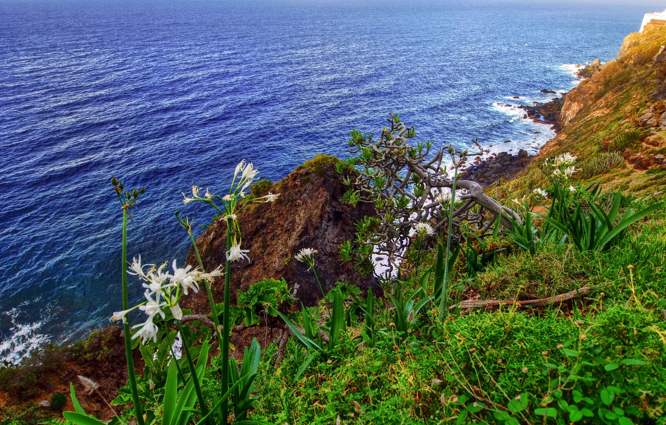 Photo wallpaper sea, the sky, grass, flowers, rocks